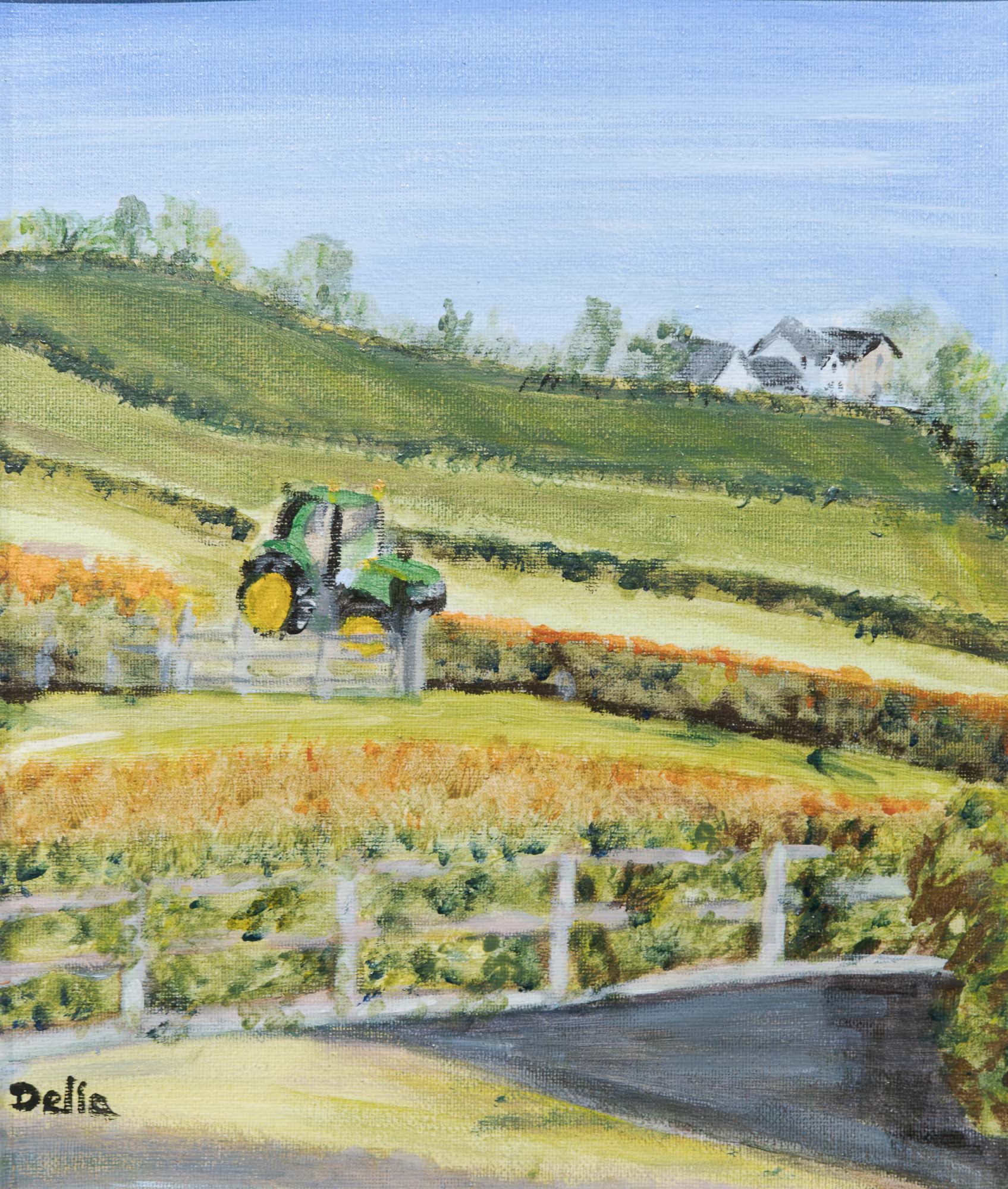 Farming by the Seaghan Dam