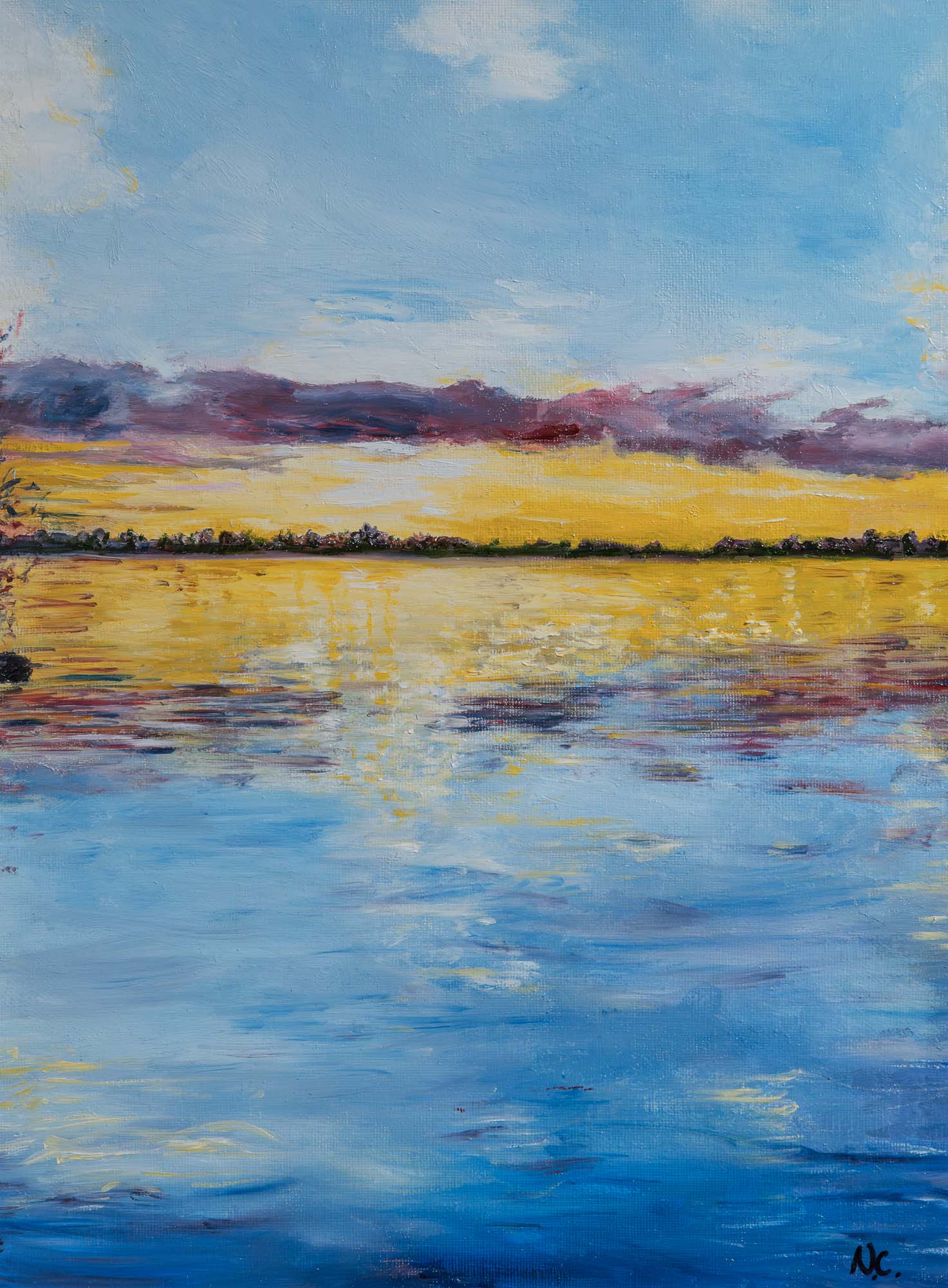 Golden sunset Lough Neagh