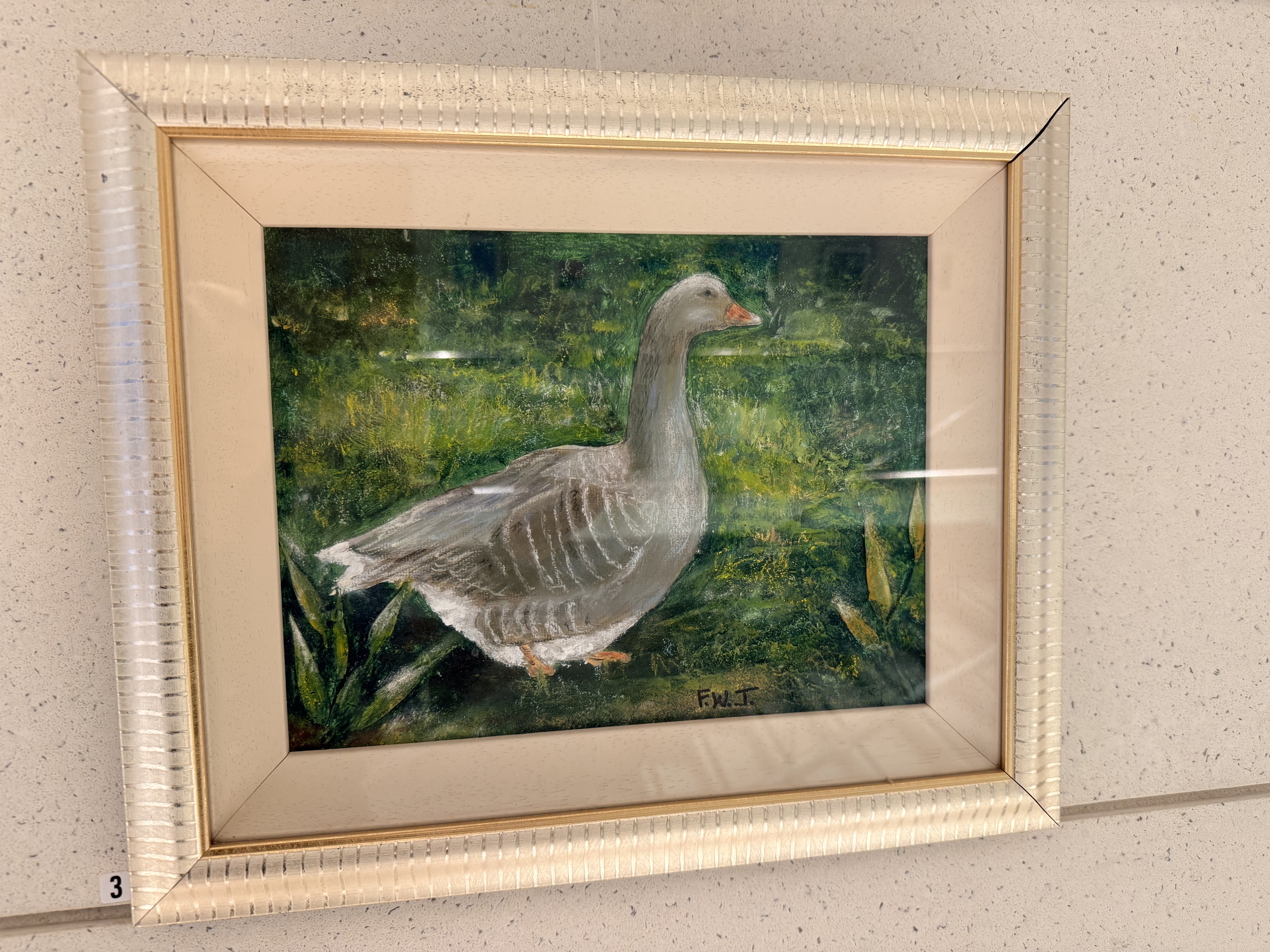 Toulouse Goose