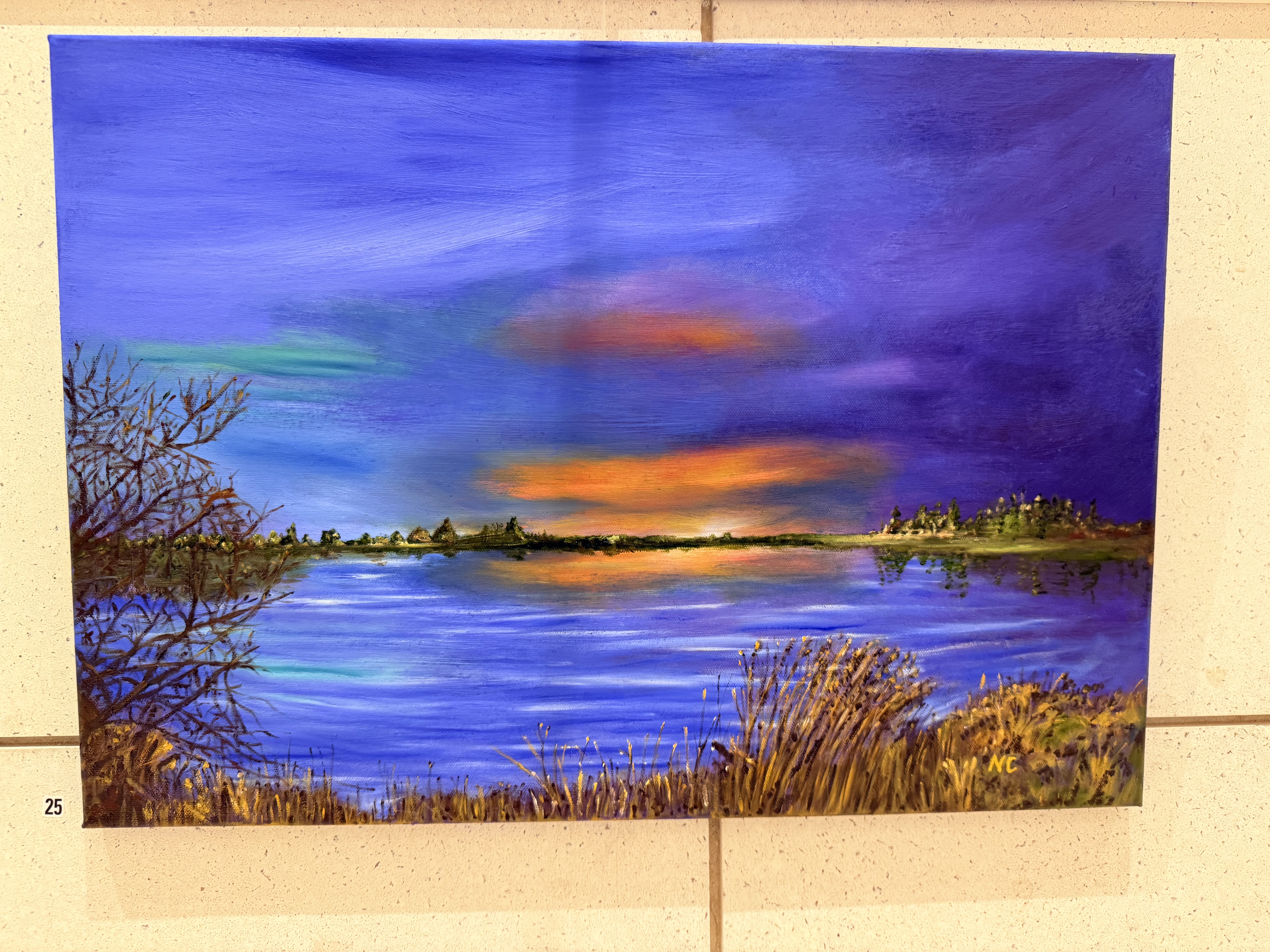 Lough Neagh Aglow