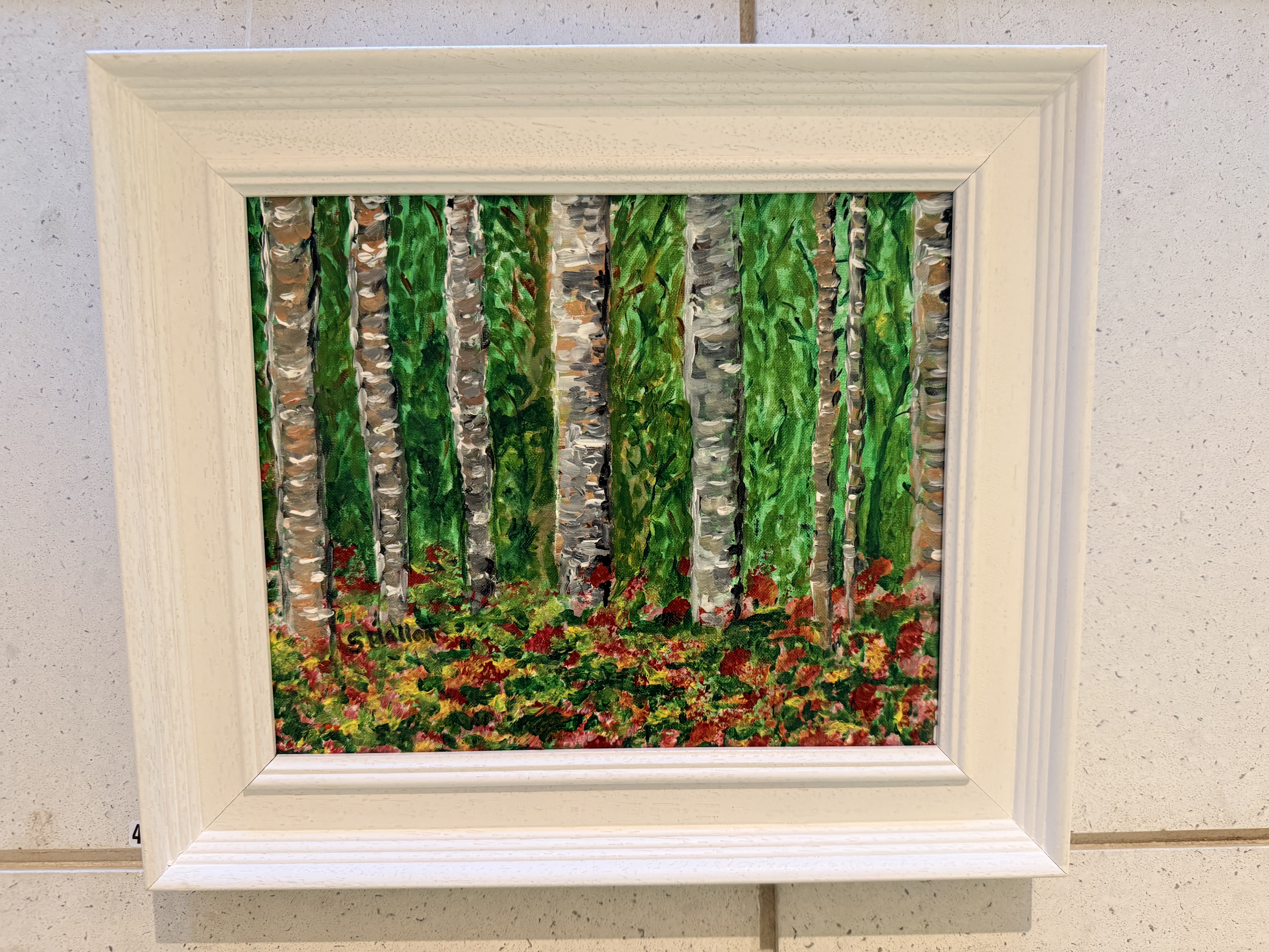 Forrest Illusion